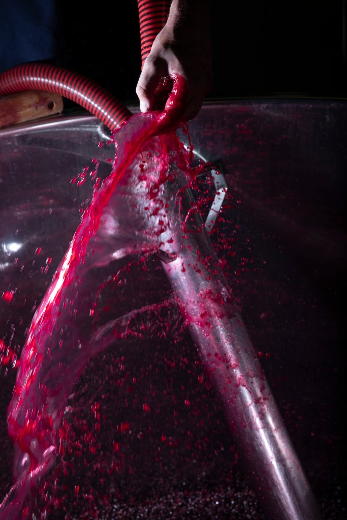 Domaine Didier AMIOT Bénédicte MANIERE Maxence ABBATE Bourgogne Grands Vins de Bourgogne Vin Terroir Climat Pinot Noir Morey-Saint-Denis
