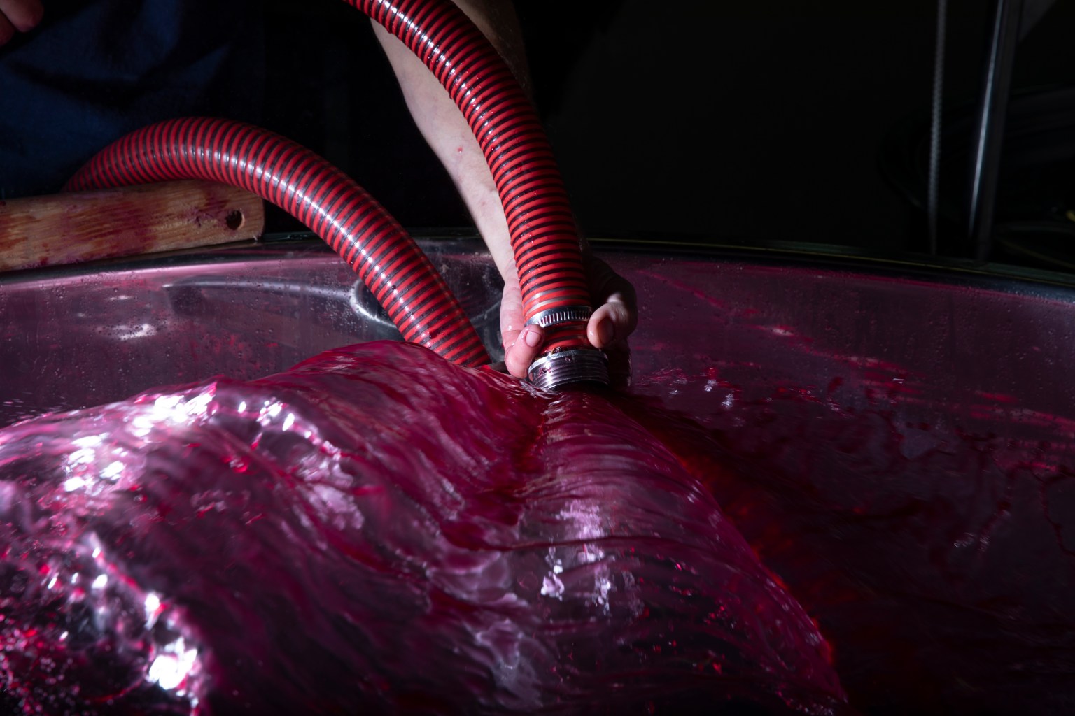 Domaine Didier AMIOT Bénédicte MANIERE Maxence ABBATE Bourgogne Grands Vins de Bourgogne Vin Terroir Climat Pinot Noir Morey-Saint-Denis